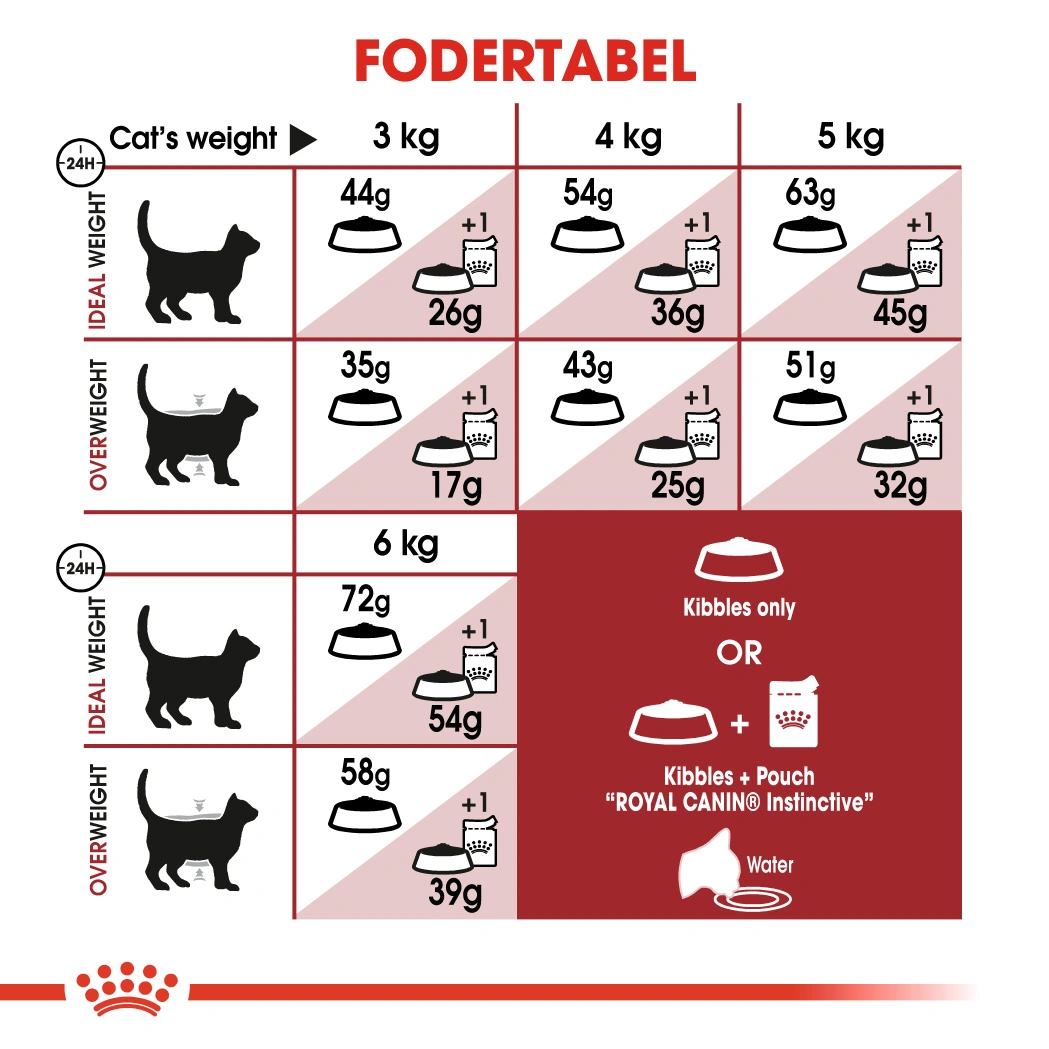Royal Canin Regular Fit 32 4 kg